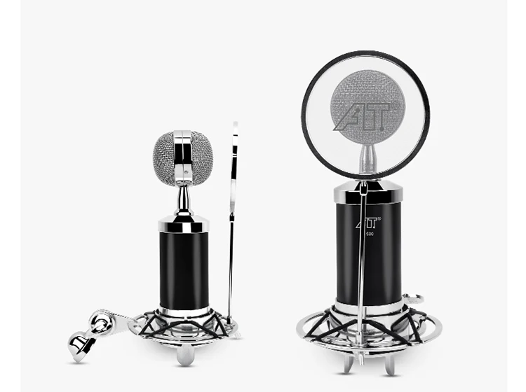 12-Single Microphone