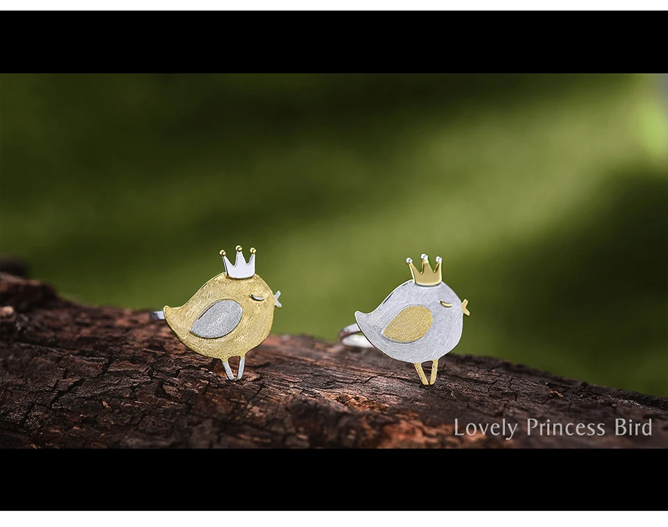 LFJD0085-Lovely-Princess-Bird_02