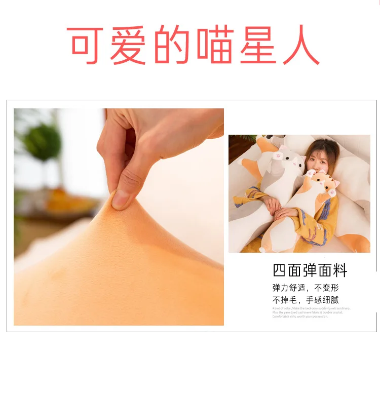 猫咪抱枕 (17).jpg