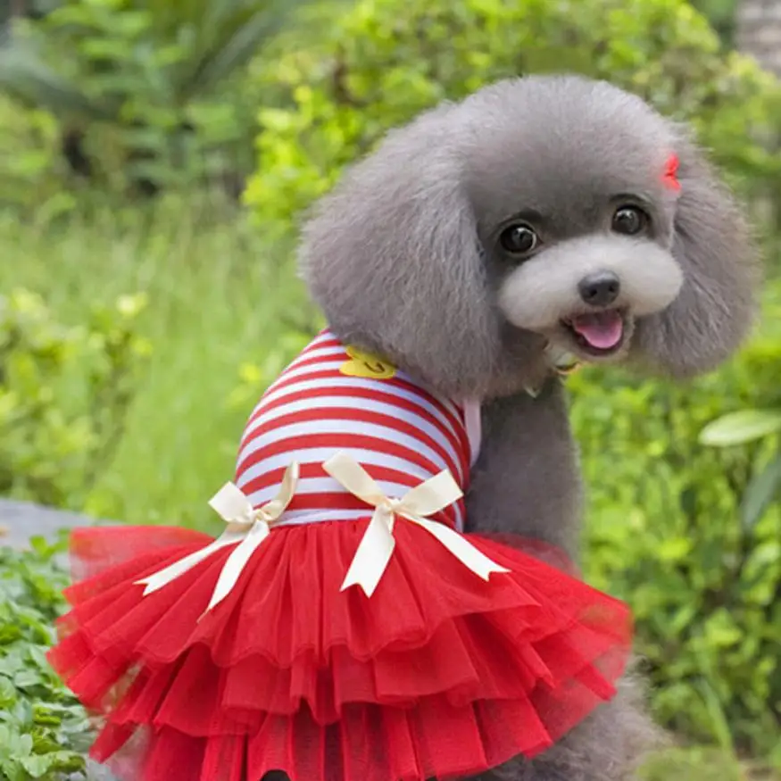 Dog dresses Outer wears spring Dog Clothes Wholesale Dog Clothes Skirt