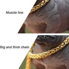 HTB1v1whLkvoK1RjSZFDq6xY3pXa2