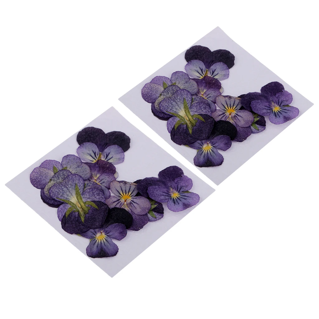 24 Pcs Violet Natural Real Dried Flowers For DIY Crafts Scrapbooking Nail Art Jewelry Making Resin Casting  DIY Necklace Pendant