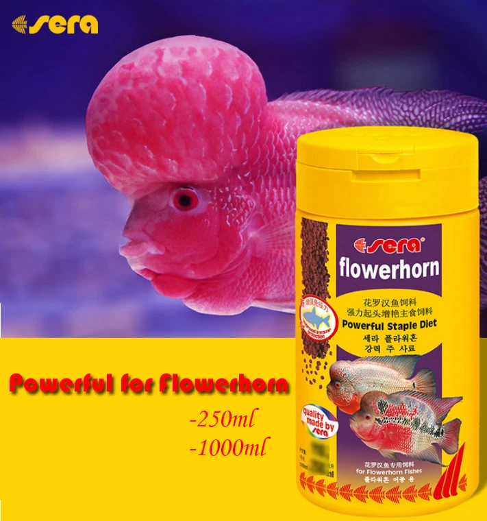 

JFENGLI SERA Flowerhorn Fish Food Powerful Staple Diet Flowerhorn Granules Aquarium