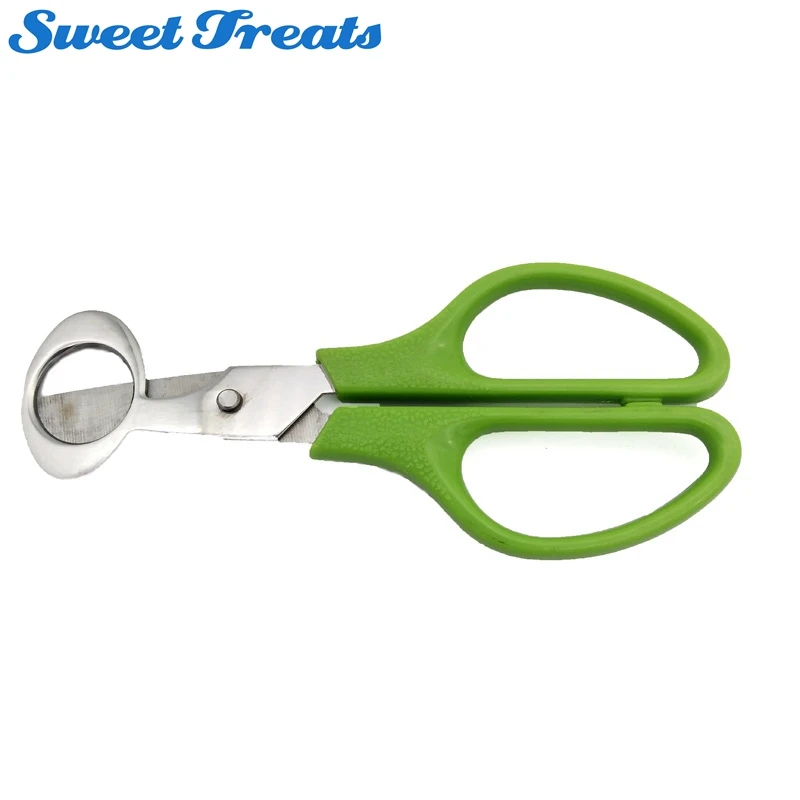 Sweettreats Stainless Steel Pigeon Quail Egg Scissor Bird Egg Cutter