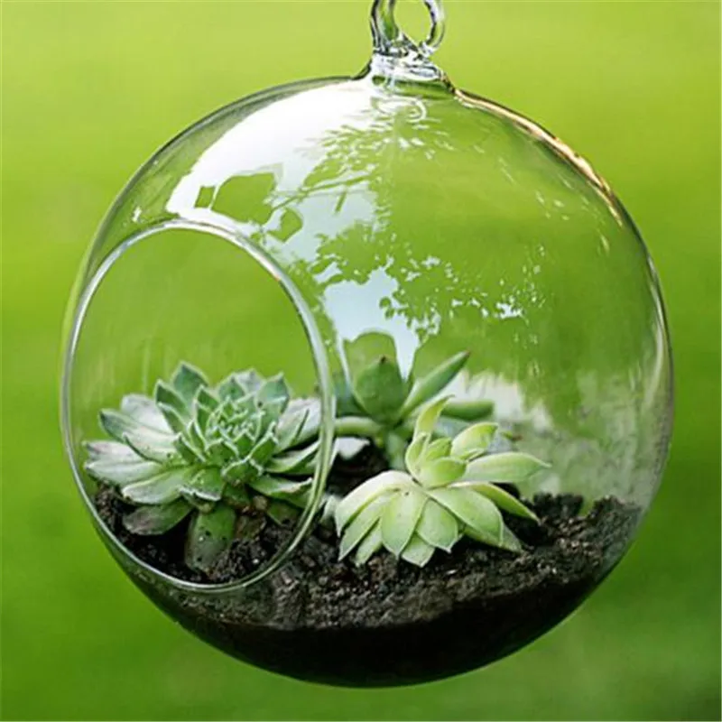 

8/10/15cm Transparent Hanging Glass Flower Planter Vase Bottle Terrarium Decor Mini Clear Wall Ball Flower Hanging Glass Tank