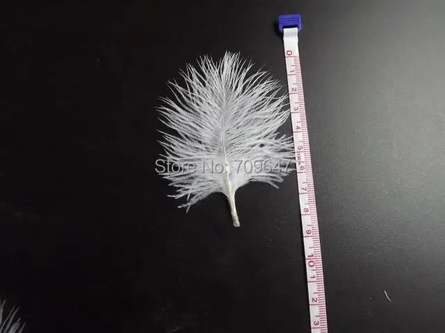 

200pcs/lot!5-10cm long WHITE Ostrich Small Confetti Feathers,Confetti Feathers,Small Feathers,White feathers for wedding