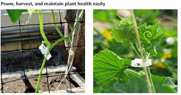 Зажимы для поддержки растений для сада томатные садовые овощи лоза для роста вертикально и делает растения более здоровыми шпагатами зажимы