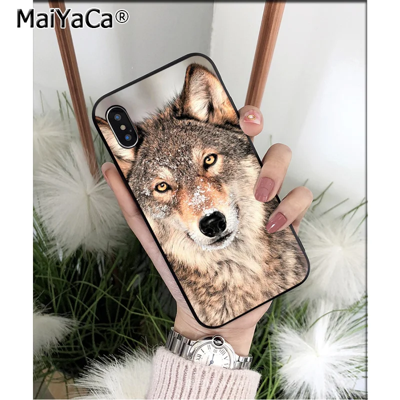 wild snow wolf mountain