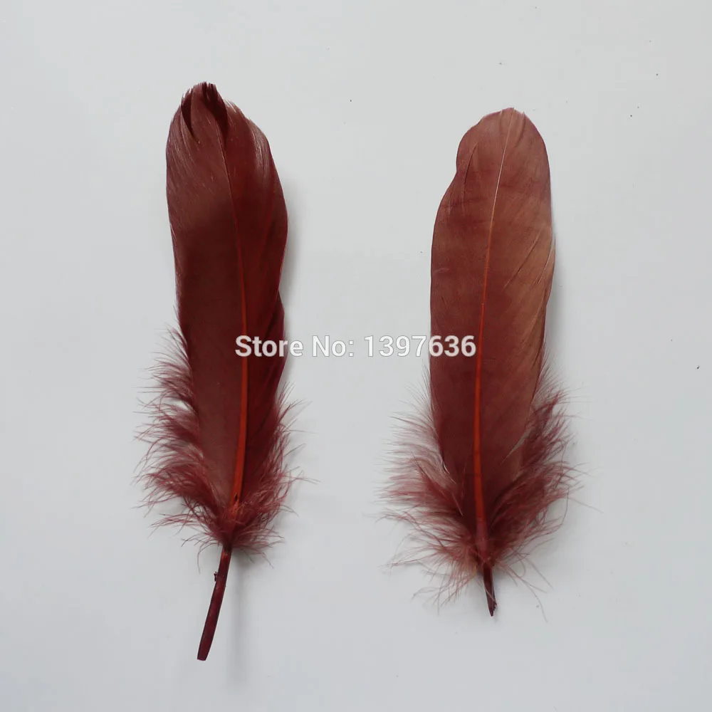Online kopen wholesale bruin craft veren uit china bruin craft ... Kleur ontwerp bruine