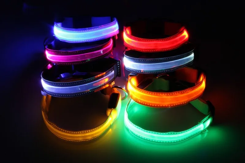 Transparent Flashing Dog Collar (27)