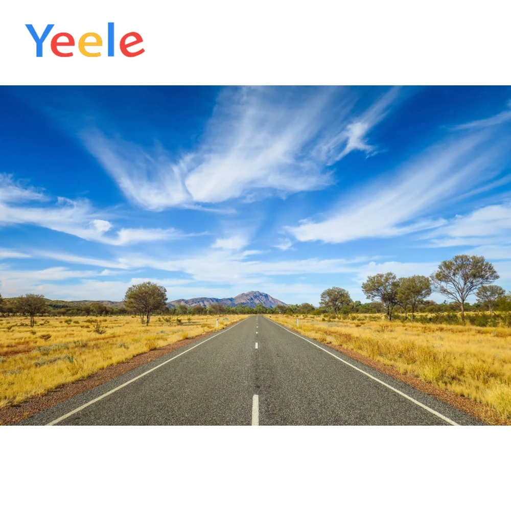 

Yeele Blue Sky Landscapes Country Road View Portrait Baby Background Photography Posters Photographic Backdrops For Photo Studio