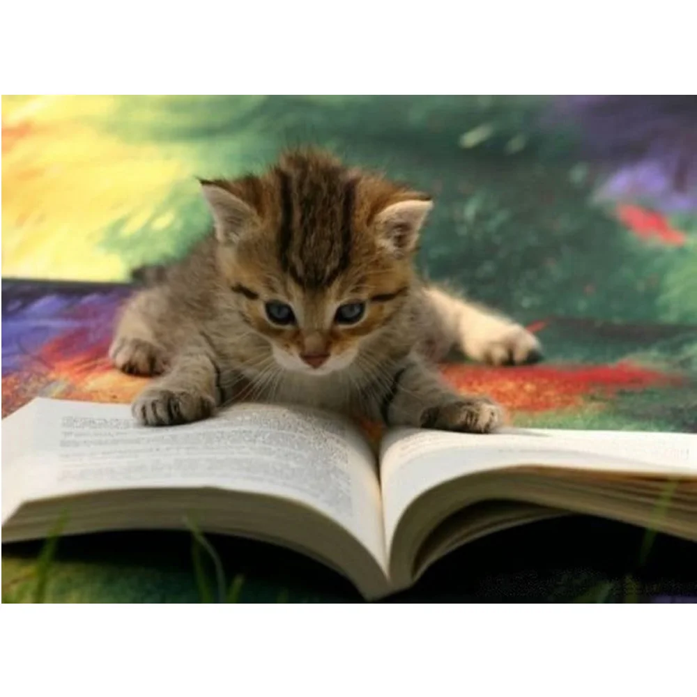 

Cat reading books Needlework 3D diamond embroidery full resin diamond with picture home decor mosaic diy diamond painting