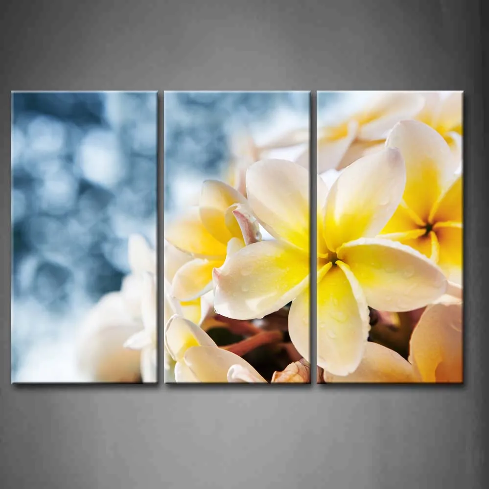 

3 Pics Framed Wall Art Picture Frangipani Flower Water Dew Canvas Print Flower Modern Poster With Wooden Frame For Decor