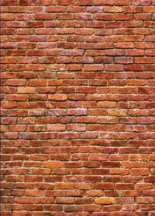 

SHANNY Vinyl Custom Photography Backdrops Prop Brick wall floor theme Photo Studio Background SYO-41