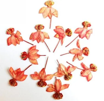 

100pcs Pressed Dried Pink Dancing Flowers Plant Herbarium For Jewelry Phone Case Postcard Bookmark Invitation Card DIY Making