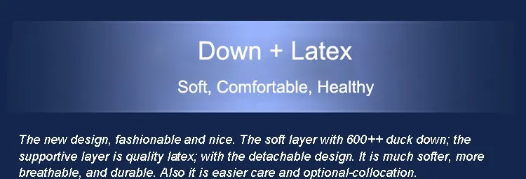 duck-down-surround-latex-pillow-insert_