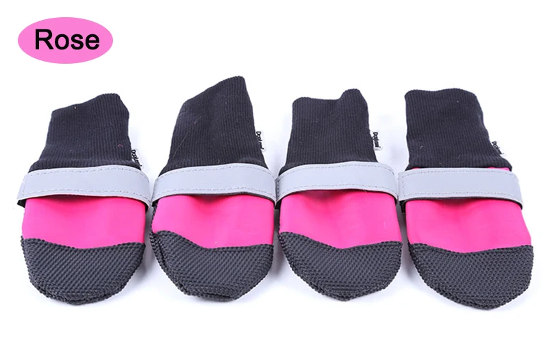 Sapatos p cães