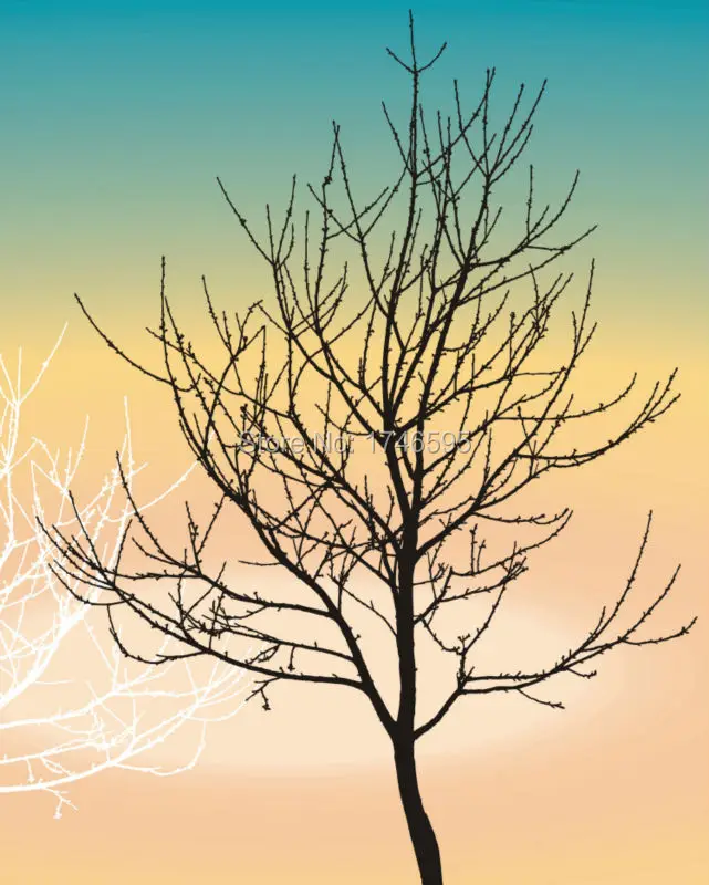 white red black tree-3