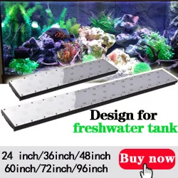 freshwater