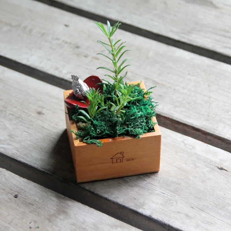 

Набор из двух деревянных шкатулок для хранения ювелирных изделий и продуктов zaka, креативные мини-горшки для мяса и растений