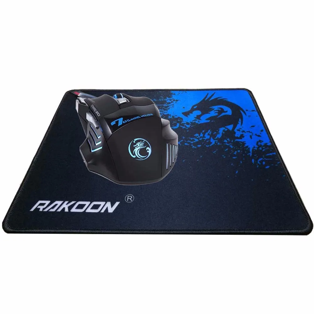 rakoon2