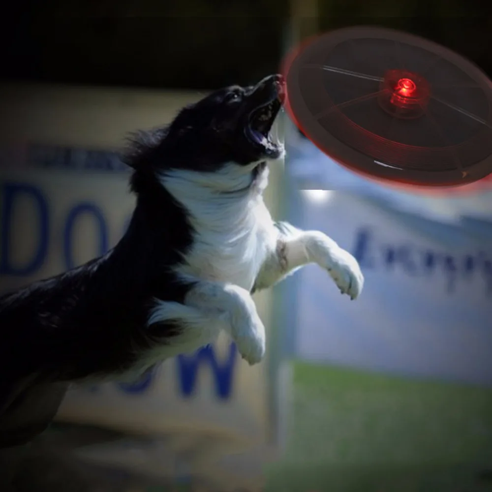 1 قطعة led تحلق القرص الكلب لعبة في تدريب الكلب القط جلب ضوء الليل مضيئة اللعب لون عشوائي c42