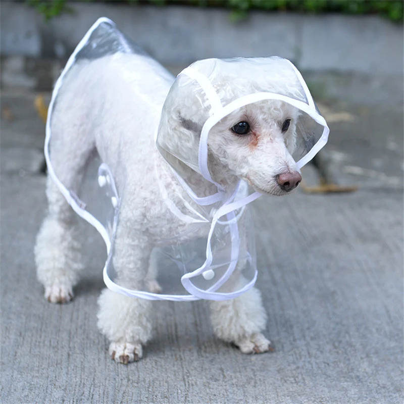 Chubasquero transparente perro, ropa impermeable para mascotas con para perros pequeños, Chihuahua, Pug, de verano|Impermeables para perro| - AliExpress