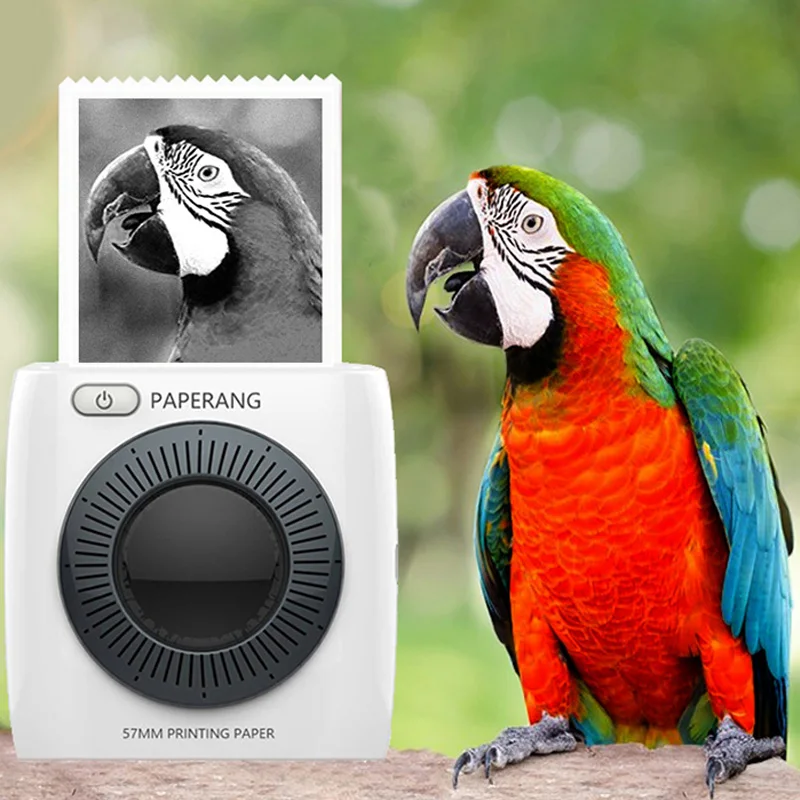 PAPERANG P2 جيب المحمولة طابعة بلوتوث الهاتف الصورة اتصال لاسلكي HD طابعة حرارية للملصقات 3 لفات من الورق الحراري