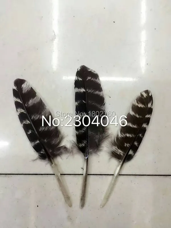 Wholesale 50pcs/lot High Quality 710cm Natural Wild Turkey Wings