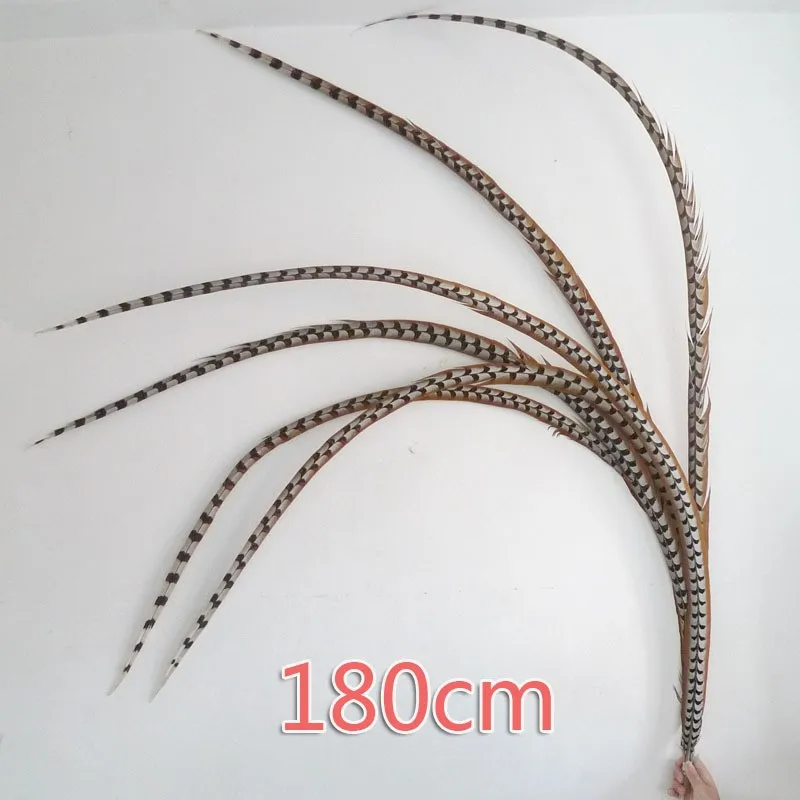 

freeshipping 10Pcs/Lot!180-185cm Reeves Pheasant Body Feathers Plumage, Exotic Feathers, Craft Feathers,DIY Feather,art