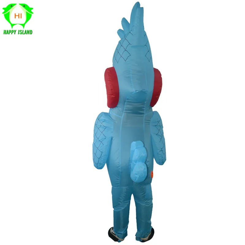 鹦鹉6
