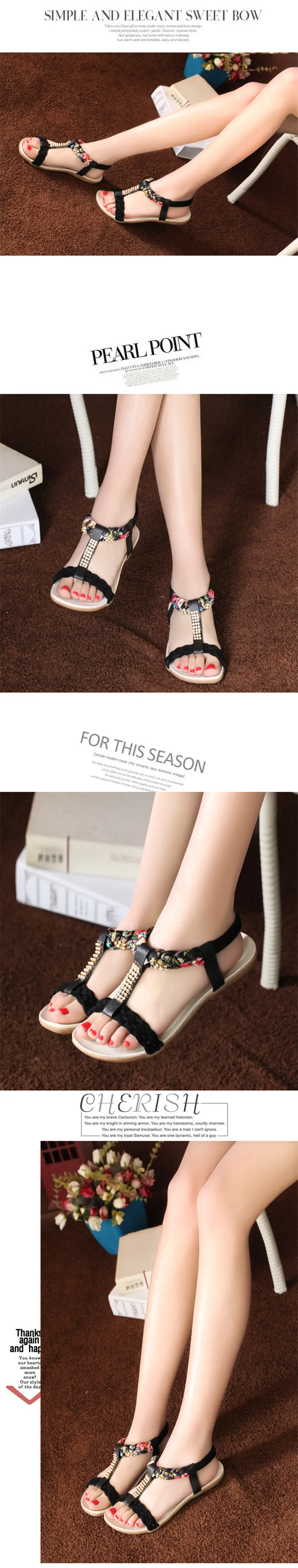 3792862214_63171897