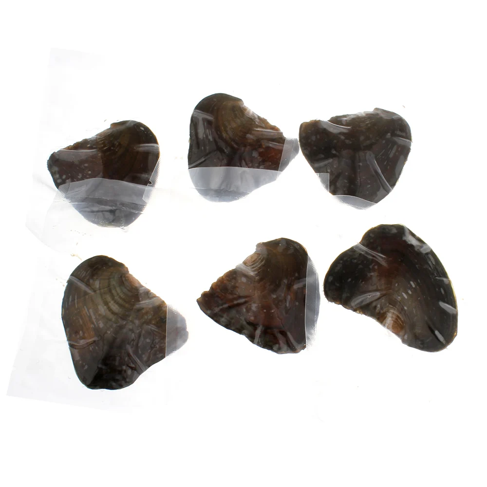 Украшения YYW Подарочная оболочка Wish Pearl Oyster вакуумная упаковка 6 7 мм/7 8 мм