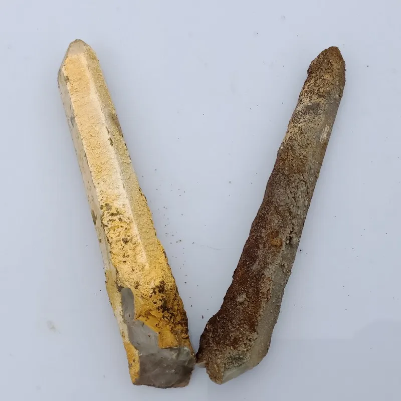 conew_img20190421084936