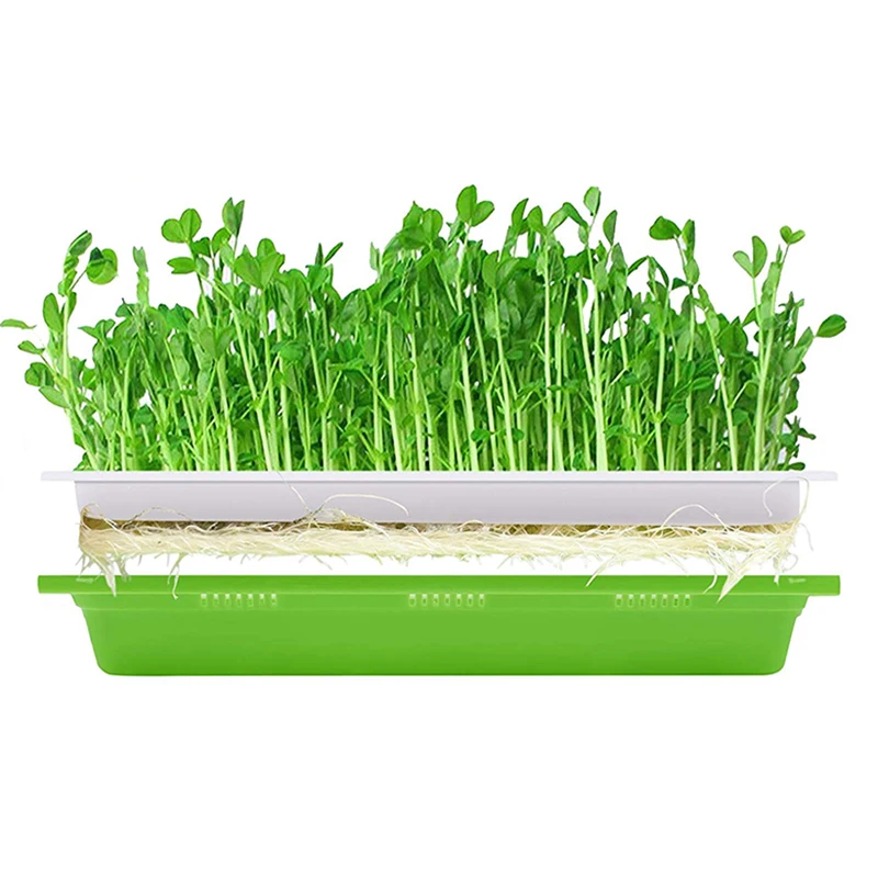 Wheatgrass садовод поднос для рассады лоток для растений гидропоники Системы растут кассеты для рассады лоток PP Растительного горшок для рассады