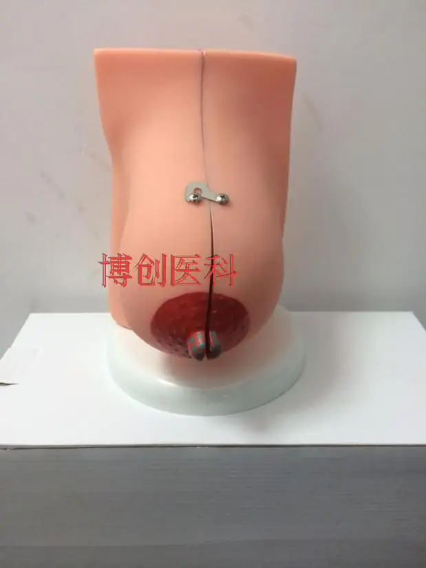 //img.alicdn.com/imgextra/i2/1076600170/TB2QXacaFXXXXcAXXXXXXXXXXXX_!!1076600170.jpg