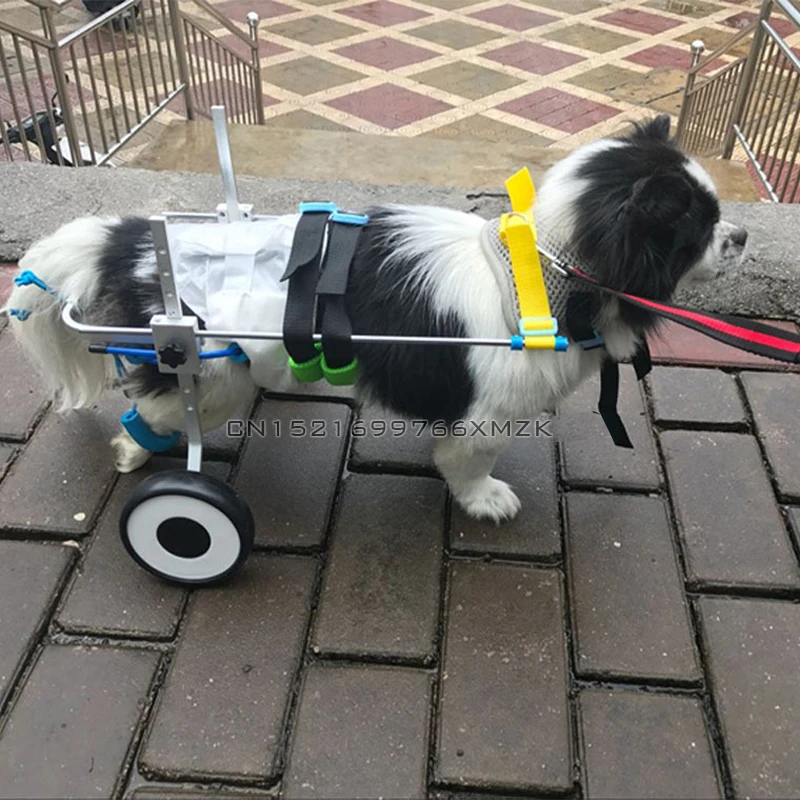 dog walking stroller