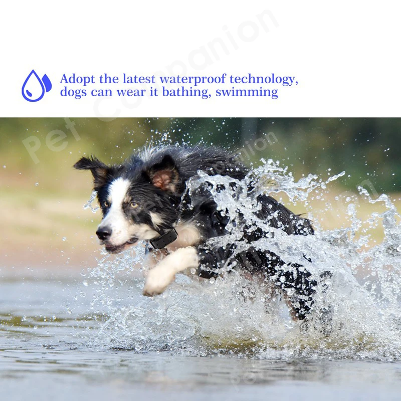 Rechargeable Waterproof Electronic Dog Training Collar Stop Barking LCD Display 800m Remote Electronic Shock Training Collars3