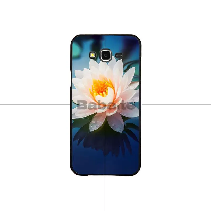 Flower Lotus Tulip