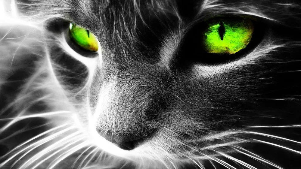 

Green Eyes Cat Needlework Full Embroidery Painting Cross Stitch Animal Diy Diamond Painting Kits Diamond Mosaic Wall Decoration