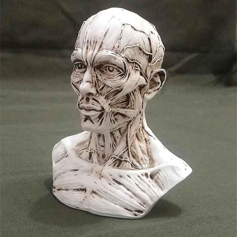 3D Искусство Живопись штукатурка статуя силиконовая форма череп голова человека