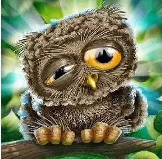 QQ20181018185258
