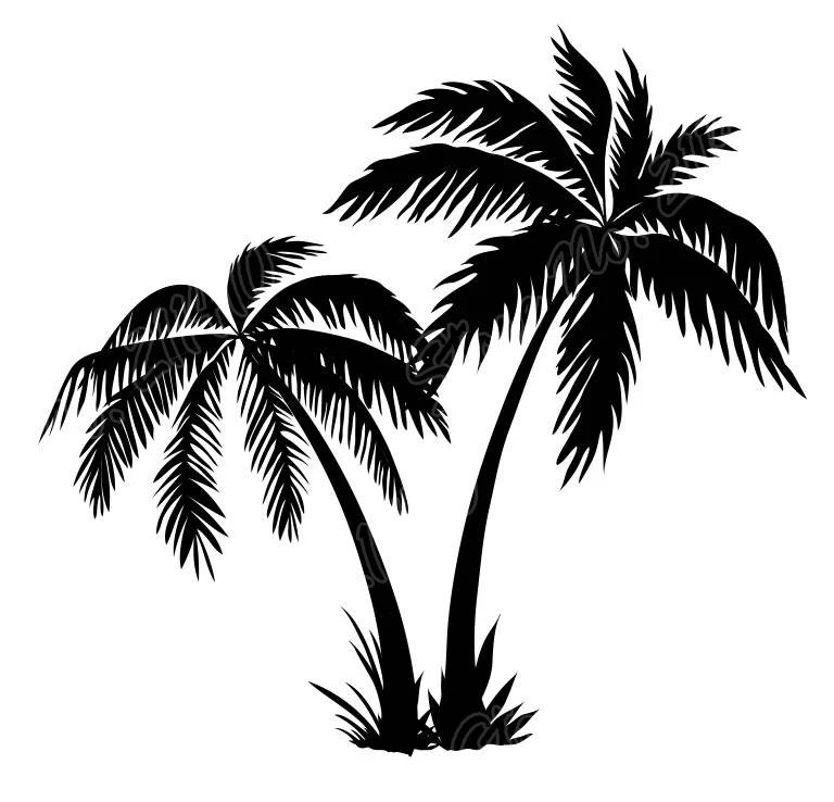 أشجار النخيل الظلية سيرفر تصفح موجة المحيط موجة المياه السباحة شاطئ الصيف الجدار ملصق للإزالة الفينيل الفن الجدار ملصق b231