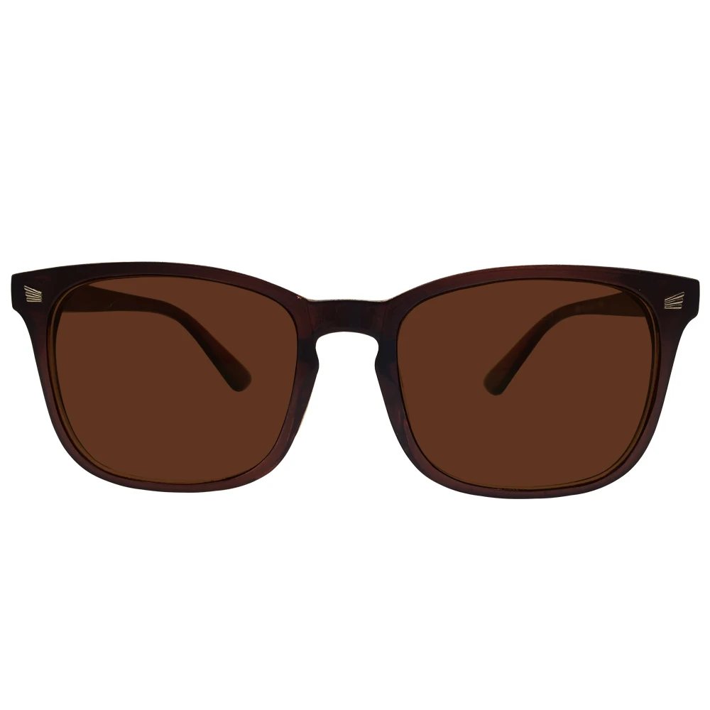 G20593_80_TINTEDBROWN_MAIN3