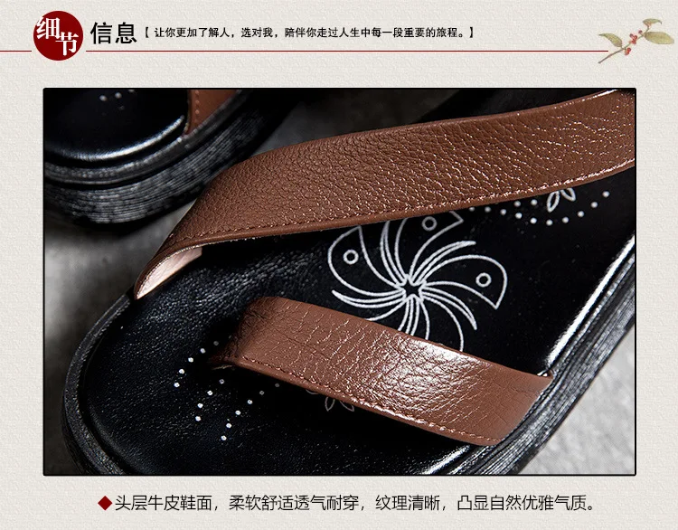 5668(750)_03.jpg
