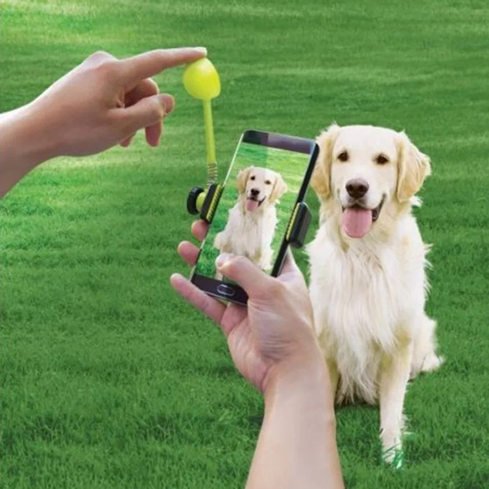 Pets Dog Cats Pictures Treat Launcher Grabs Pet's Attention Toys Pets Training Supplies non-toxic Treat Launcher Pets Trainings Pets Dog Cats Pictures Treat Launcher Grabs Pet's Attention Toys Pets Training Supplies non-toxic Treat Launcher Pets Trainings