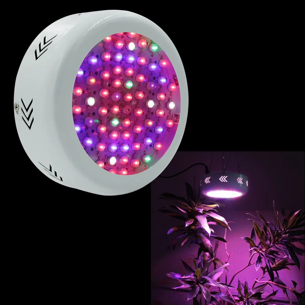 Spectrum king led coupon code