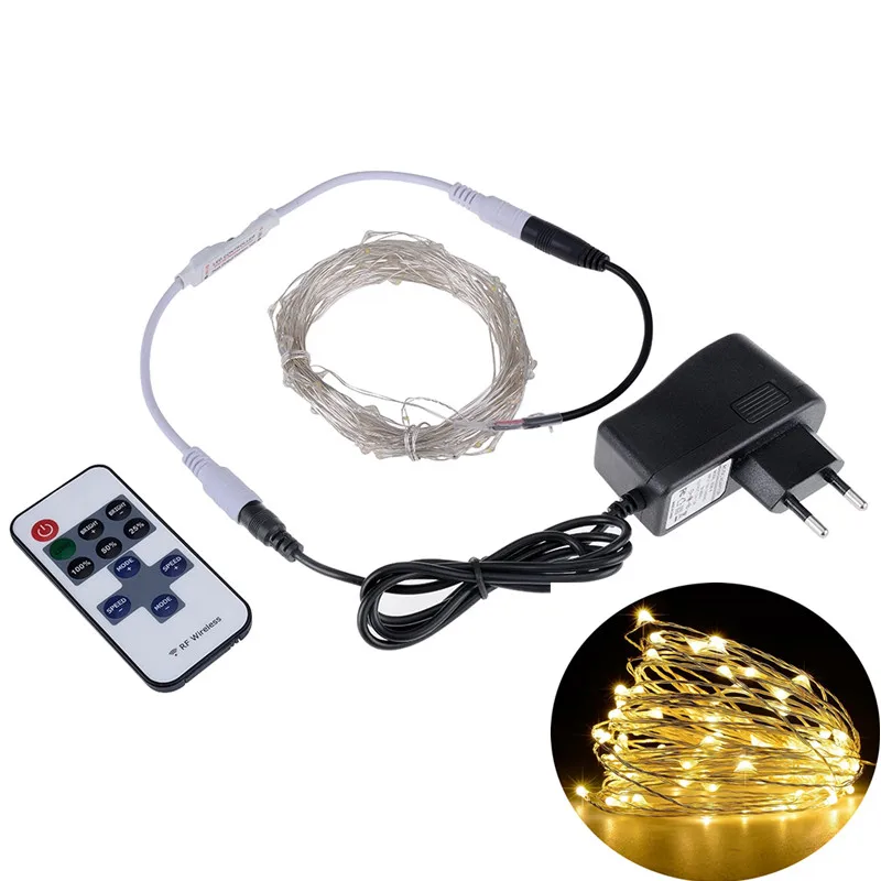 

ZjRight LED String Lights 5M10M Outdoor Christmas Fairy Light Warm White Silver Wire LED Starry Lights DC 12V Wedding Decoration