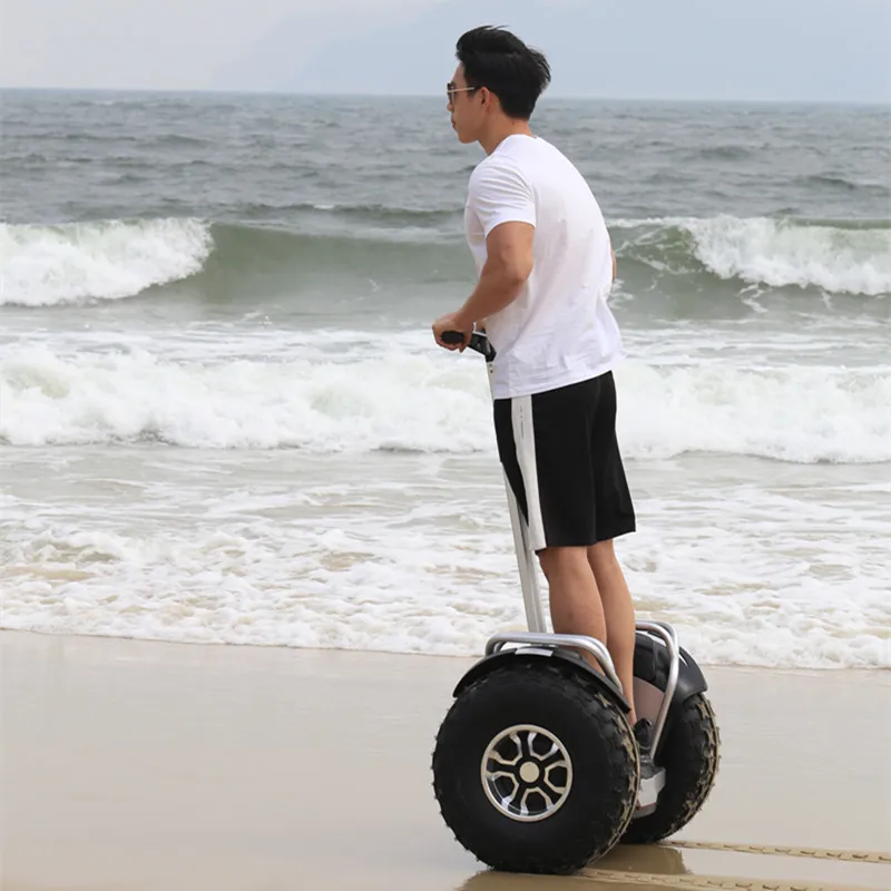 Electric Scooter 19 Inch Two Self Balancing Hoverboard Car - AliExpress