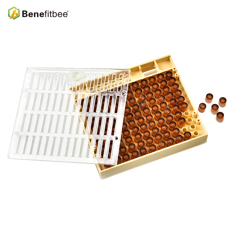 Выгода Apicultura пчеловодная королева Rearing Cup kit Box 110x коричневая система Cell Cupularve Tools